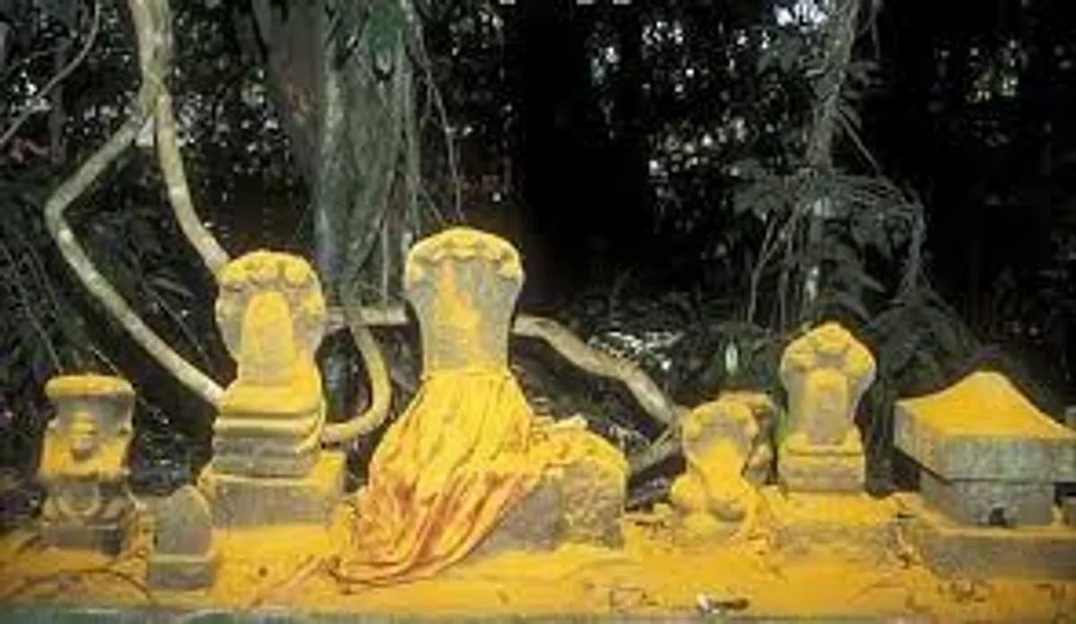 मन्नारसला नागराज