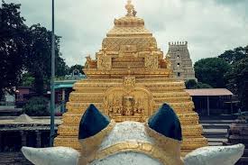 Bejjanki Mallikarjuna (Telangana)
